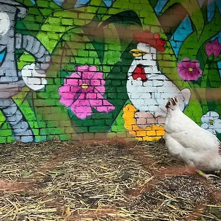 Kemping Tiny House Le Poulailler