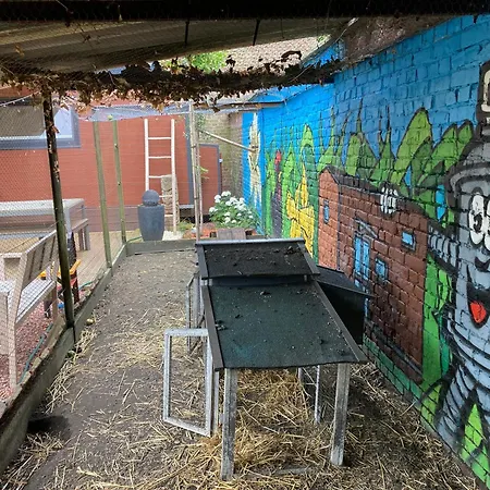 Kemping Tiny House Le Poulailler Bousbecque