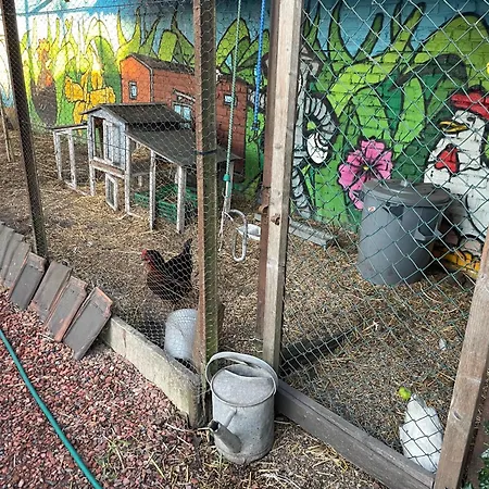 Tiny House Le Poulailler Kemping